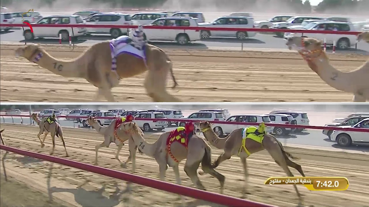 مهرجان ولي عهد دبي - ثنايا للقبائل 8-2-2020 م ش2 نايف لـ محمد سلطان مطر مرخان الكتبي 12:15:7