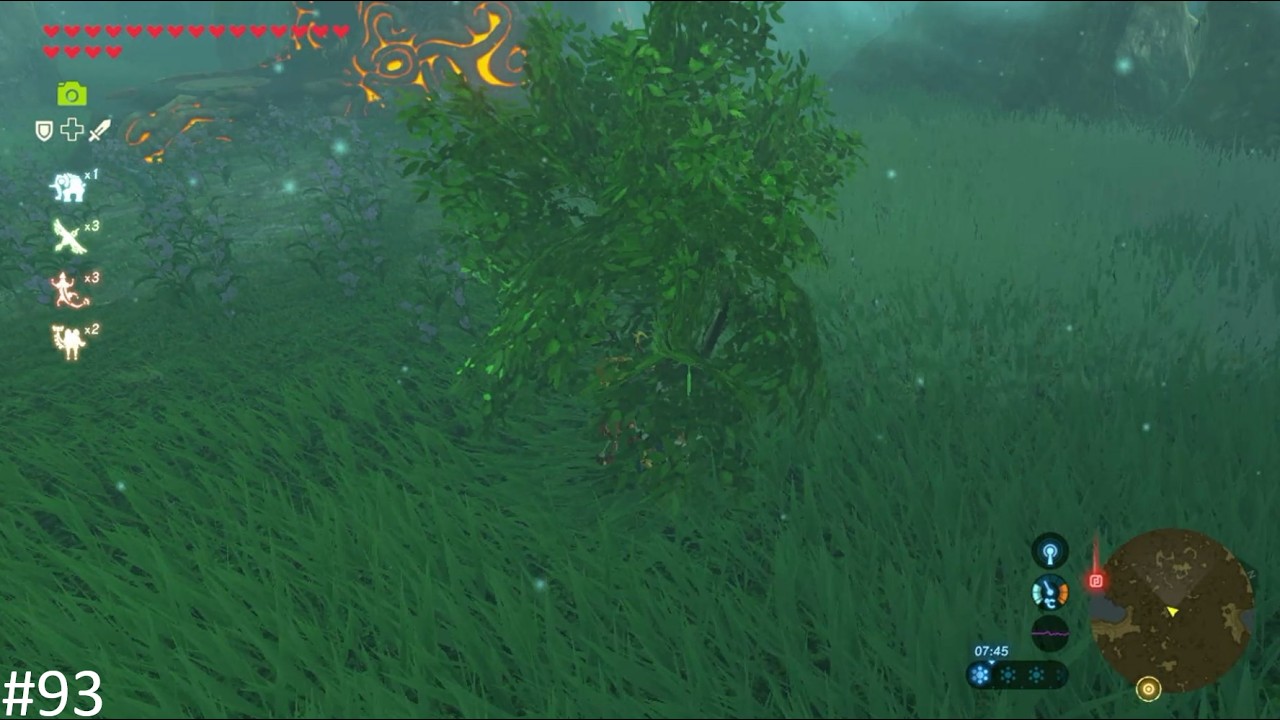 The Legend of Zelda Breath of the Wild Part 93: Der Pilgerweg im Wald der Krogs