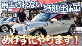 ミニクーパー リミテッドエディション 2000 ペースカー