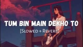 Tum bin me Dekho to(slowed-Reverb)sad