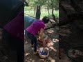 农庄生活真有趣 2 来 跟我到大树边的鸡笼里捡鸡蛋去 农庄生活真有趣 2 来 跟我到大树边的鸡笼里捡鸡蛋去