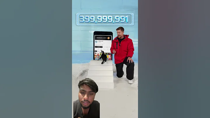 Can I Teach a Penguin To Subscribe?😊 #penguin #challenge #funny #justfun #mrbeast #memes #viral