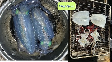 Câu Mực Đêm Ở Nhơn Lý | Vũ Vê Lờ #57