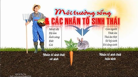 Thông tư 35 hướng dẫn về hồ sơ môi trường