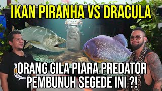 PIRANHA VS DRACULA!! ORANG GILA PIARA PREDATOR PEMBUNUH SEGEDE INI!! #Audreykingofthejungle