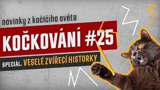 KOČKOVÁNÍ #25  Speciál: veselé zvířecí historky