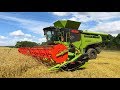 2 x Claas Lexion 795 - The monster on field - Limited Edition 2017 - 4K!