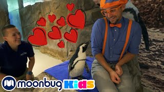 :     | @   - Blippi | 