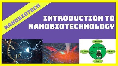 Introduction to Nanobiotechnology