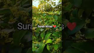 Surah Ikhlas ❤️ #islamicprayer #ikhlas #bangladesh