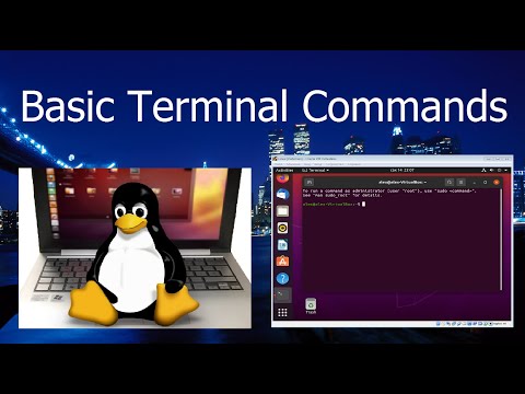 Basic Terminal Commands | Linux Ubuntu Tutorial for Beginners