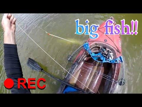 Bowfishing from a kayak