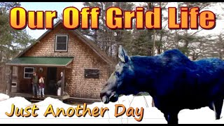 Just Another Day On The Mountain.  An Off Grid Living Vlog #149