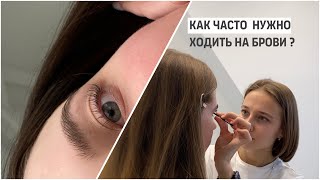 Нормально Ли Ходить На Брови Каждый Месяц?