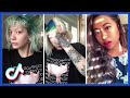 Tik Tok Hair Color Dyeing  October | Hot Trend Transformation TikTok