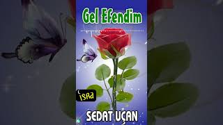 Sedat Uçan - Gel Efendim Resimi