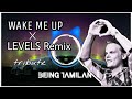 Avicii  wake me up  levels  remix  tribute to avicii