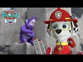 Marshall rescues a Humquatch from a dangerous cliffside! | PAW Patrol Episode | Cartoons for Kids