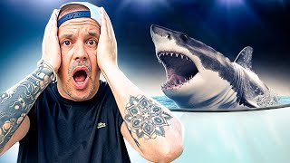 TU VEUX UN REQUIN CHEZ TOI ?? 🦈 - TOOPET