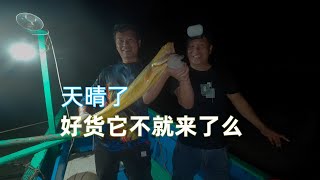 终于几天没下雨了，阿牛再也按捺不住，这样的鱼情捞起来才过瘾嘛