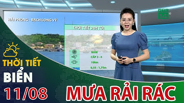 Thời tiết biển 11/08/2021: Bắc và giữa biển Đông có mưa rào rải rác| VTC14