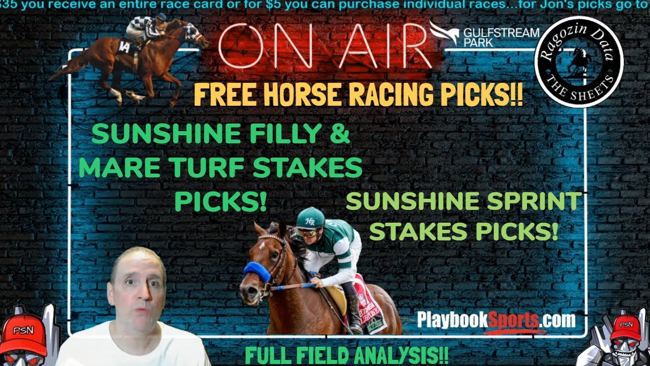 horse-racing-analysis-and-picks-includes-sunshine-filly-mare-turf