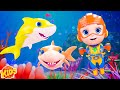 Sing Along Baby Shark Do Do Do Do Song for Toddlers