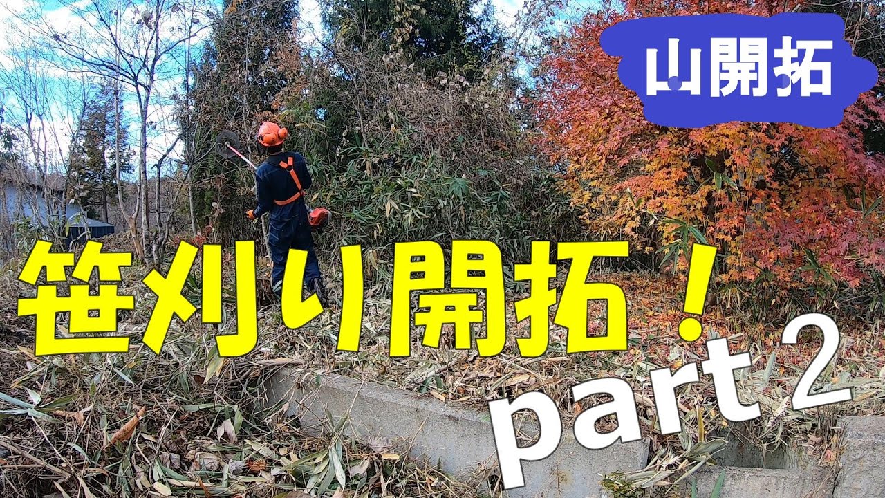 【山開拓】未開拓の場所を開拓したらすごい景色が⁉