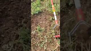 Wolfgarten Weeder Tool is very useful. Every farmer needs one!