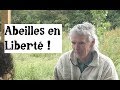 Abeilles et apiculture avec bernard bertrand