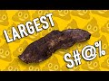 Video Tutorial Quiz