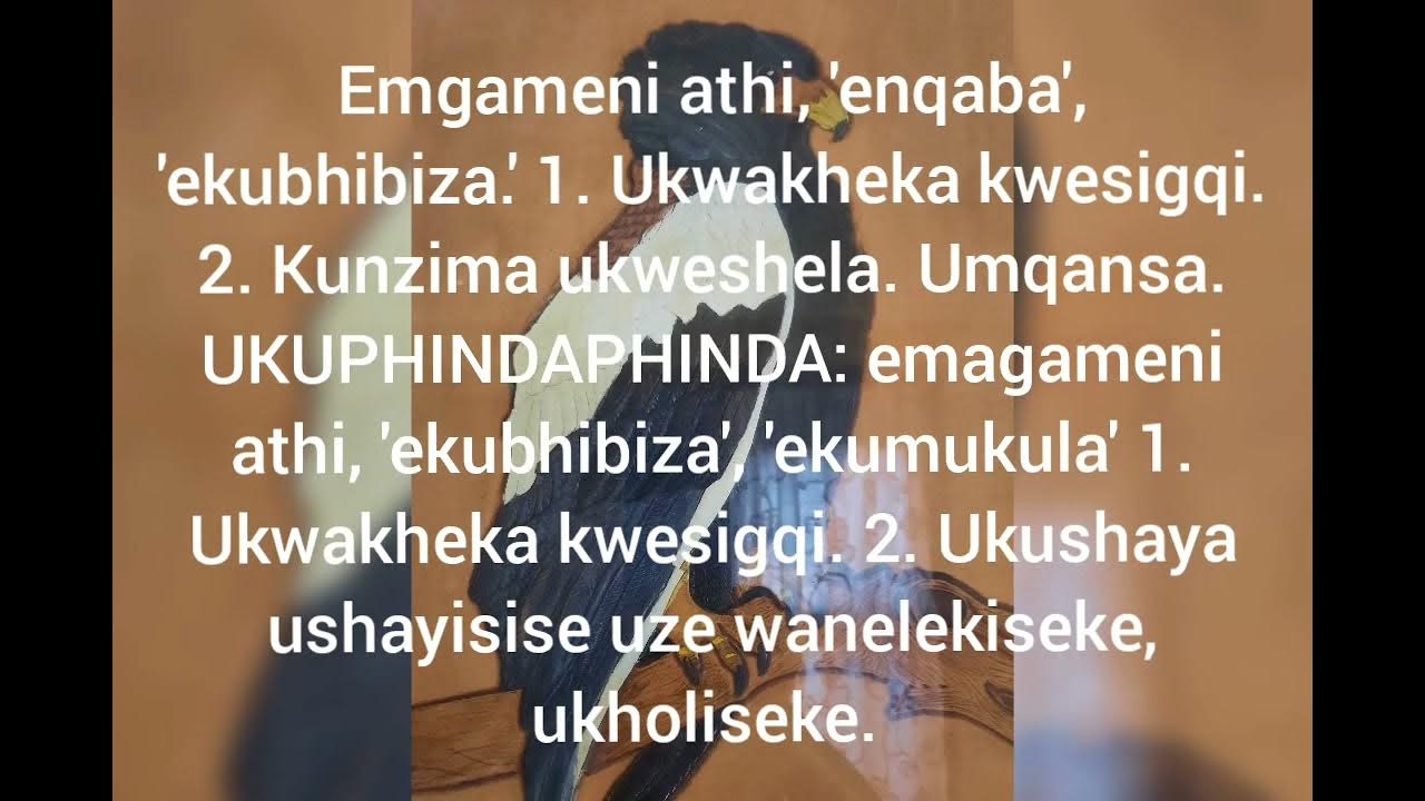 Inkondlo Ize Ikuphuzise Amanzi Ukuchaza Amagama Akhethiwe Ibinza inkondlo-ize-ikuphuzise-amanzi-ukuchaza-amagama-akhethiwe-ibinza