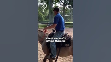 Quick Tips On Fixing Crossfiring While Riding!! Part 2! | The Horse Guru - Michael Gascon