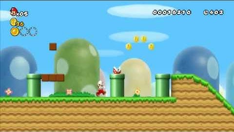 NSMBWii Custom Level 1-1
