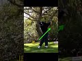 Fix your swing speed after 60 #golf #golfswing