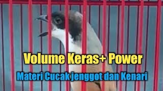 Cendet gacor suara keras materi cucak jenggot dan kenari screenshot 2