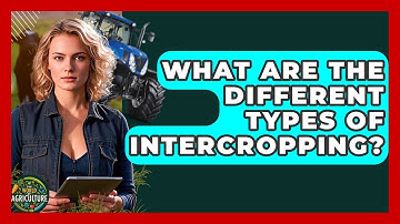 What Are The Different Types Of Intercropping? - The World of Agriculture