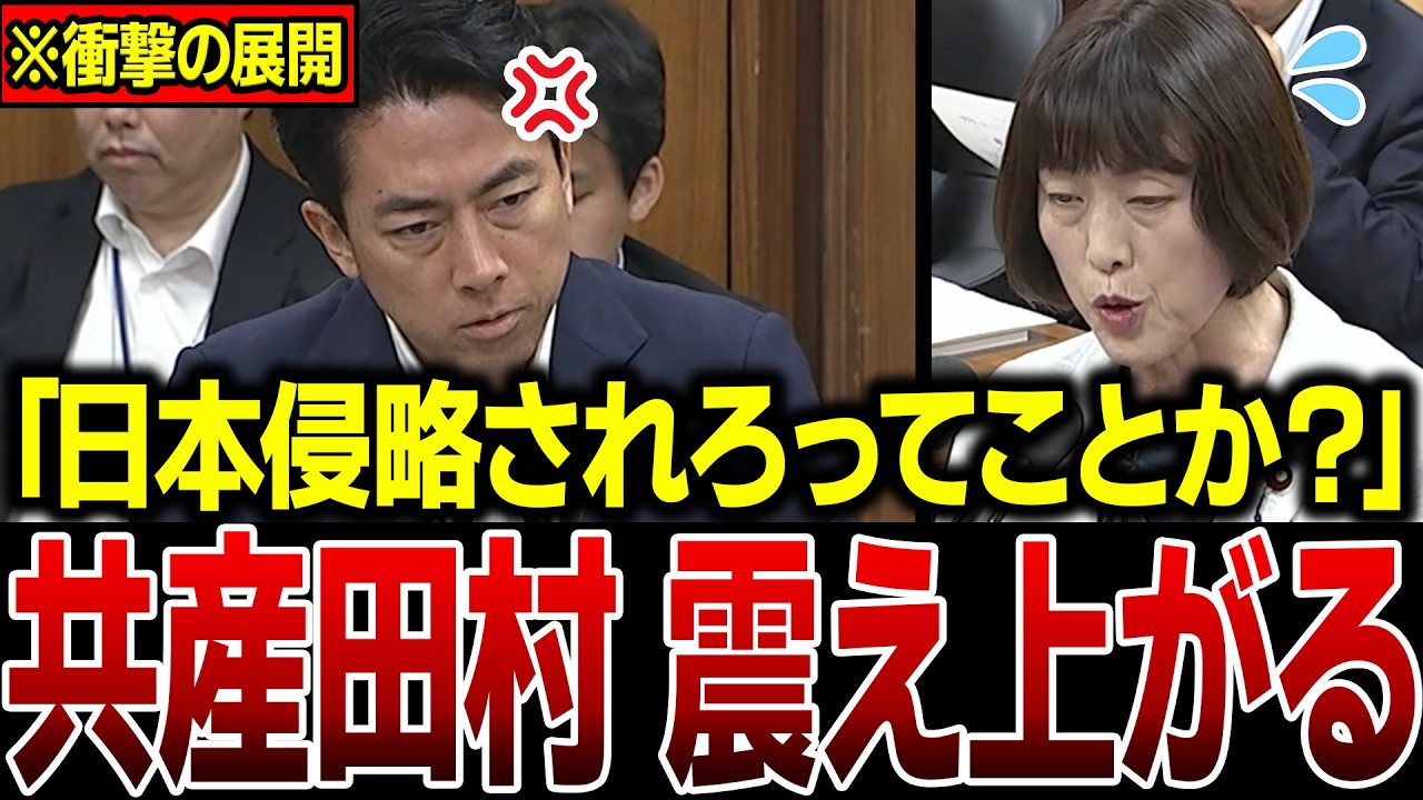 【脳内お花畑】自衛隊も情報機関も全部反対…共産・田村智子は本当に日本の味方なのか…小泉大臣に現実を突きつけられ撃沈…