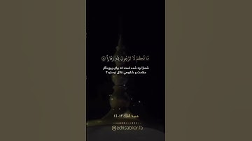 اكتب شيئ تؤجر عليه🤍💯🍃#القرآن_الكريم #مواعض #دينيه #تلاوة_خاشعة #قرآن #تلاوات #قران_كريم #ادريس_ابكر