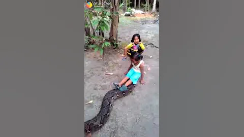 ,z,,,zzzzzzzzzz,zzzzzzzzz,,,,,,,,,,,