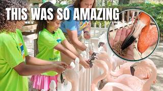 Mom of 4 Surprise Trip to Busch Gardens Tampa Bay! Only 1 day to pack!