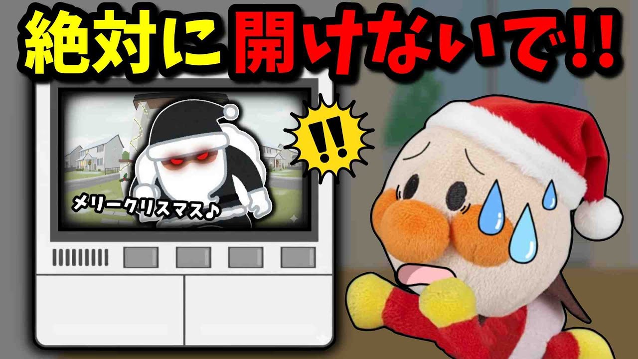 サンタさんがやってきた？ドアを開けてもいいのかな？お留守番のお約束🐥