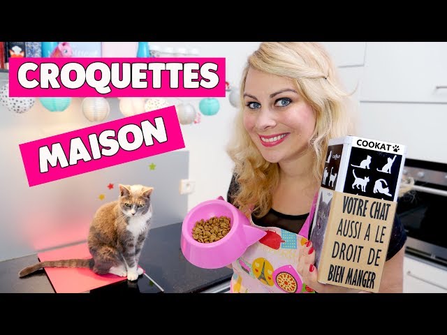 Recette De Nourriture Pour Chat Fait Maison | Ventana Blog