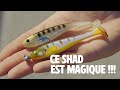 Un leurre souple incontournable  le magic slim shad 