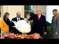 President Trump Makes Public Appearance to Pardon Turkey