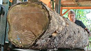 The amazing process of sawing teak logs full of beautiful grain in a sawmill 