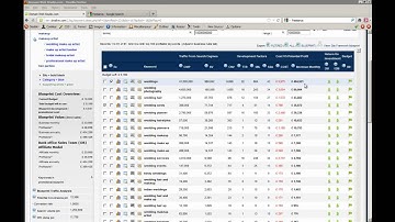 SEO Video 8 Demo: The Time To Rank Column