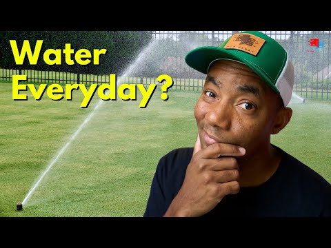 Watering Your Lawn - What could possibly GO WRONG?