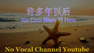 Xu Duo Nian Yi Hou ( 许多年以后 ) Male Karaoke Mandarin - No Vocal