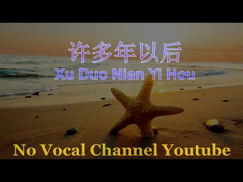 qing fei de yi karaoke qing fei de yi karaoke